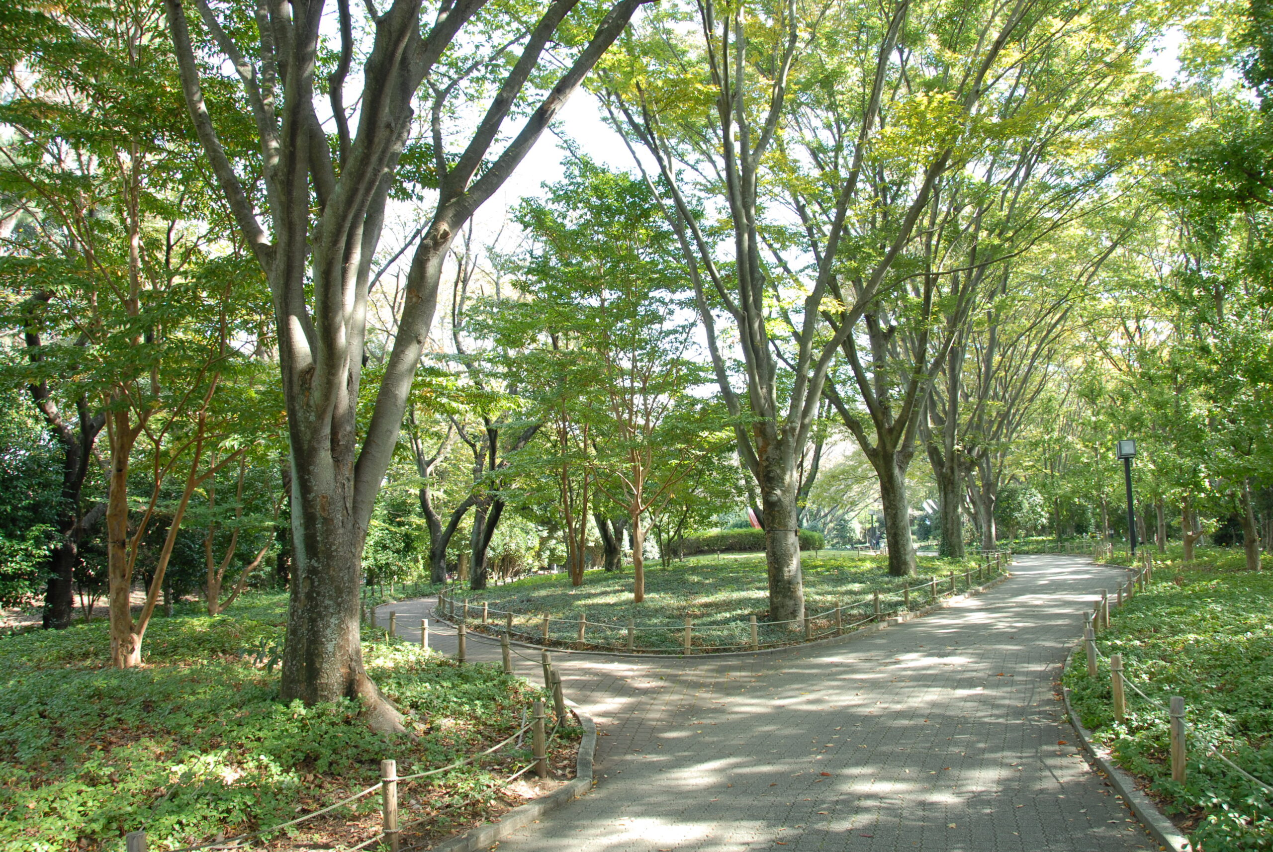 静岡県立美術館